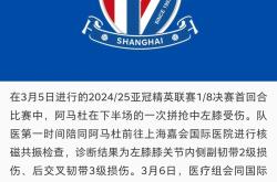 申花主帅豪言：今晚必须击败阿森纳，否则辞职！的简单介绍